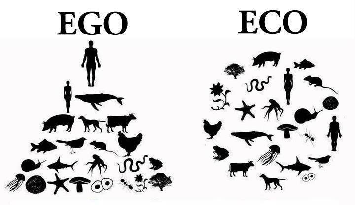 ego-eco.jpg