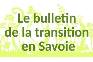 bulletin-transition-photospipf6b0ab8a8b421fed604c6bba1e00bd37.jpg