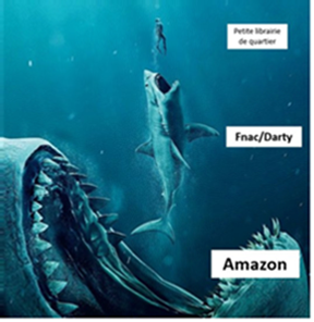 amazon requin