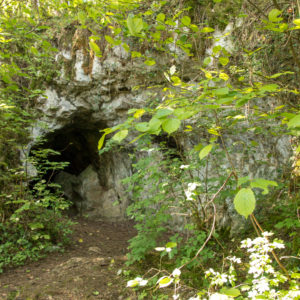 28052021-Ecoledudehors-grotte-1