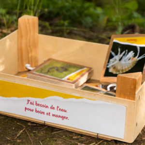 28052021-Ecoledudehors-grotte-10