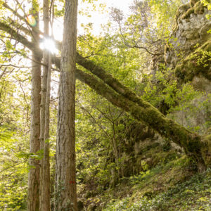 28052021-Ecoledudehors-grotte-13