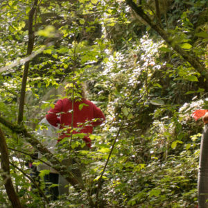 28052021-Ecoledudehors-grotte-14