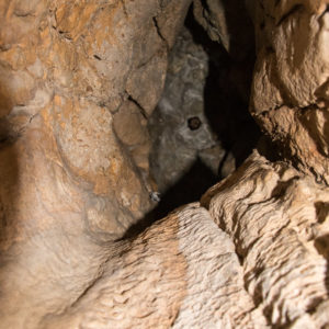 28052021-Ecoledudehors-grotte-26