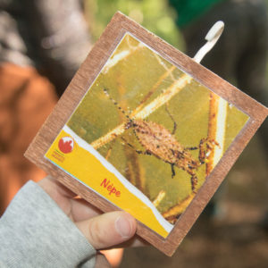 28052021-Ecoledudehors-grotte-6