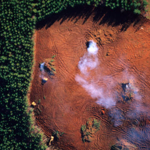 déforestation