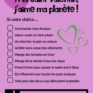 Affiche amis de la terre St Valentin-couleur