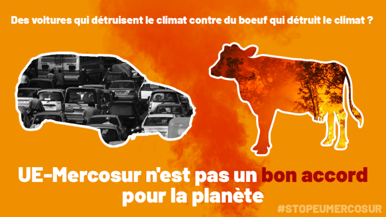 cars-for-cows---french-768x432.png