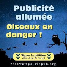 publicité allumée oiseaux en danger