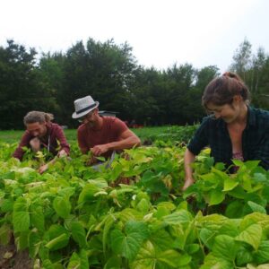 118274851_3212830358772187_5552505535677710351_n