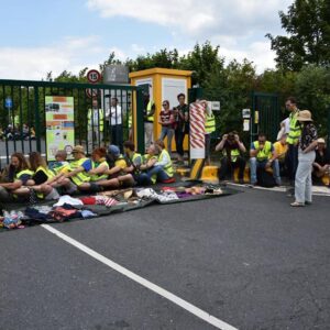 65681430_1529091237227594_6202101206861479936_n