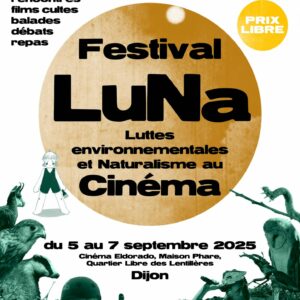 Festival LuNa