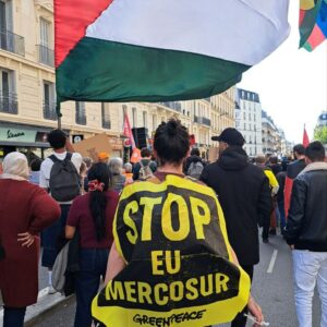 Copie de 5965429151890524760