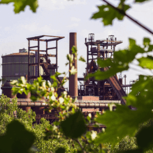 usine engrais