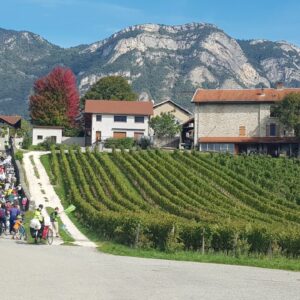 photo_5965459139352183896_y