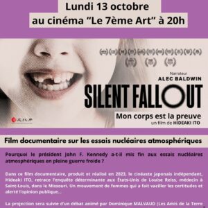 Visuel Silent Fallout