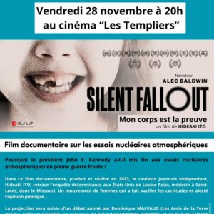Flyer Silent Fallout_28.11