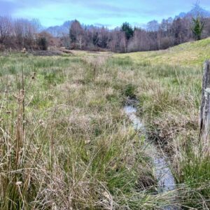 ZONE-HUMIDE_H.HOURCADE-1170x800